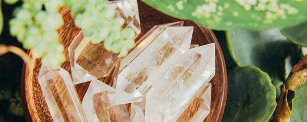 3 plants to pair with crystals