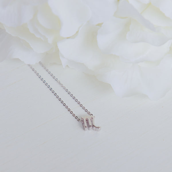 Scorpio Zodiac Symbol Necklace.