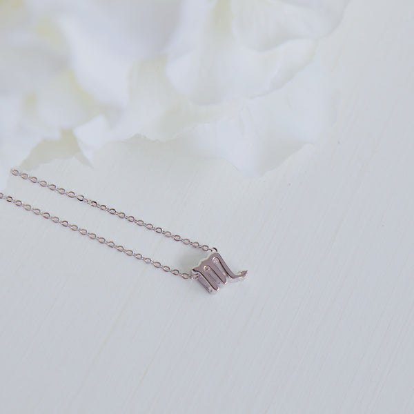 Scorpio Zodiac Symbol Necklace.