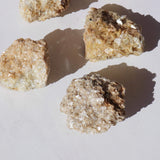 Muscovite.