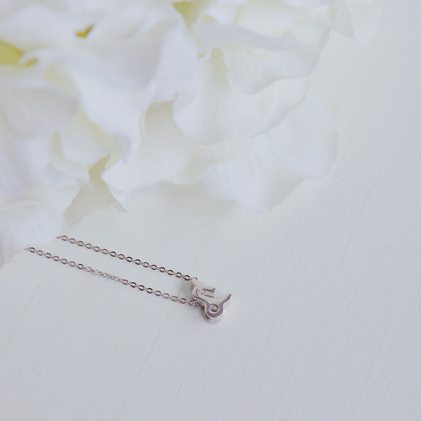 Capricorn Zodiac Symbol Necklace.
