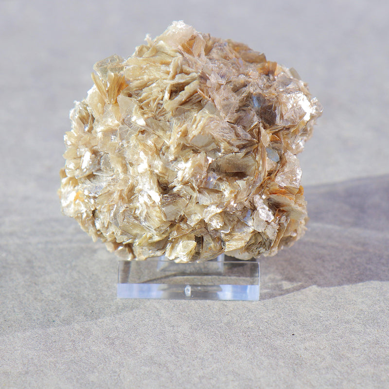 Muscovite.